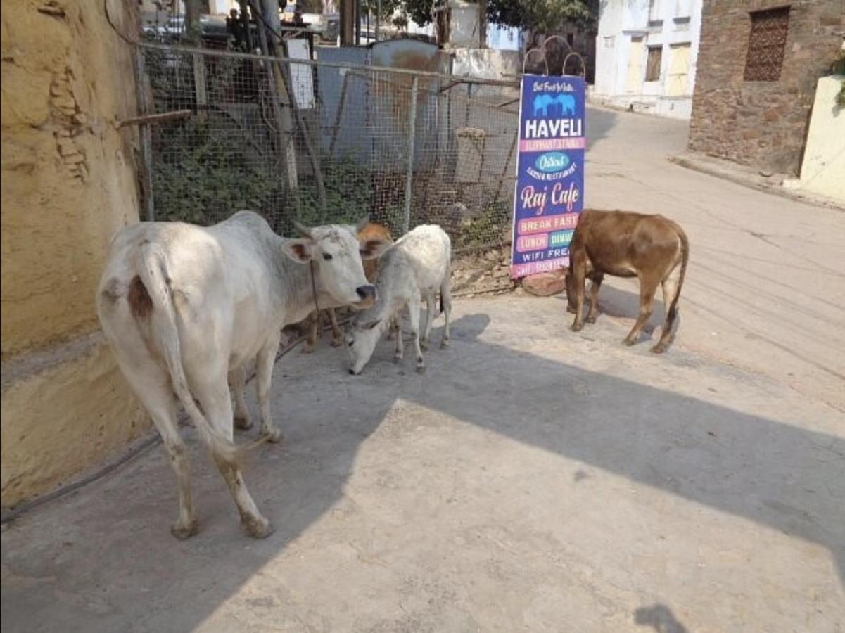 Haveli Elephant Stable Būndi Exterior foto